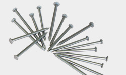 bright polished common steel nail