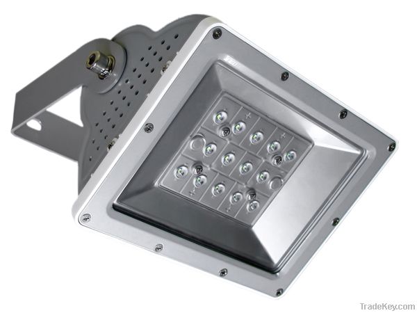 LED Flood Light