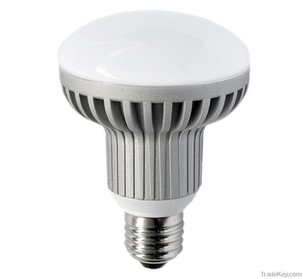 LED Reflector Bulbs R50 R63 R80 Bulb