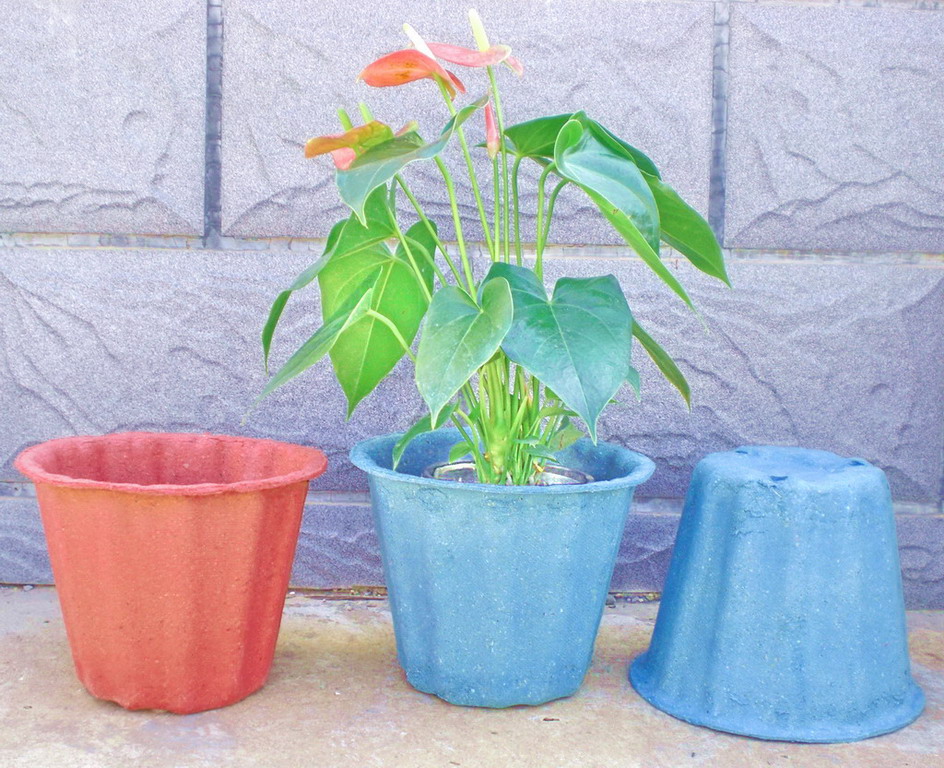 Flower Pot