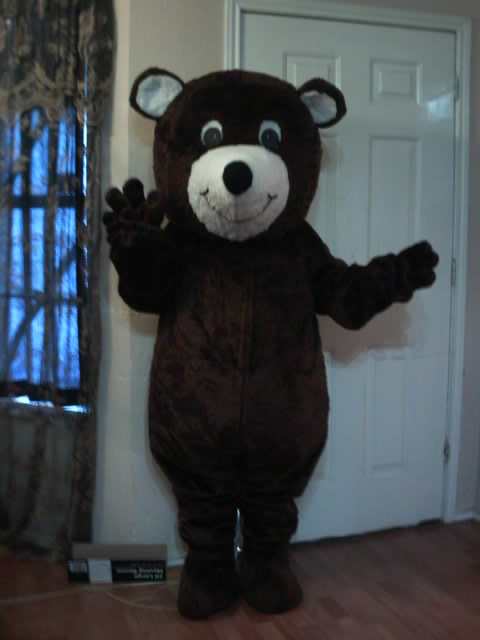 bear mascot costume