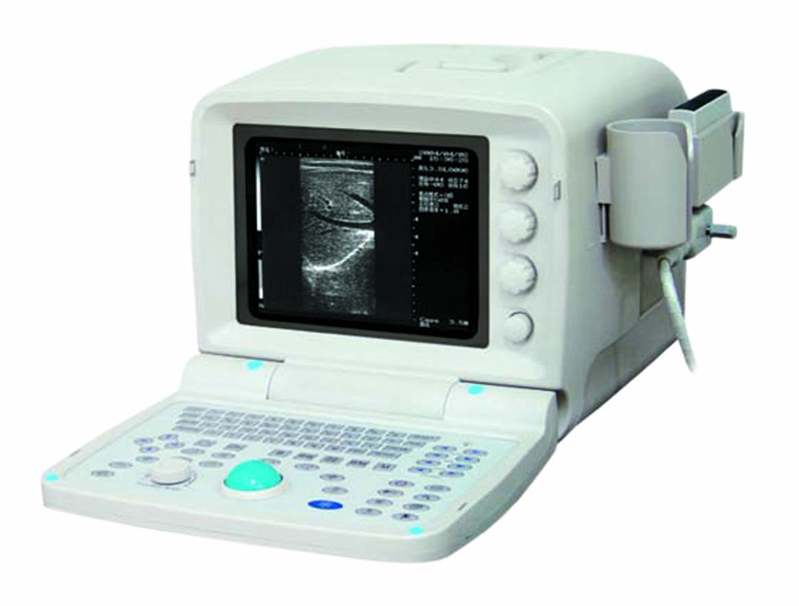 Portable Linear ultrasound scanner