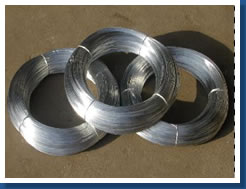 sell Galvanized Iron Wire