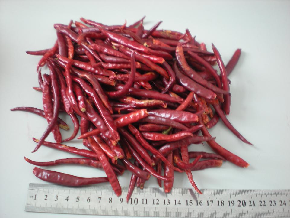 yunnan chilli new crop