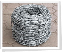 barbed wire mesh