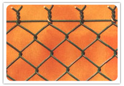 Chain Link Fence