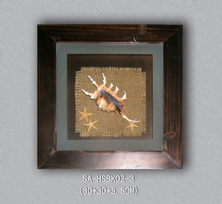 real framed sea shell displays--SA-HSBK02-3