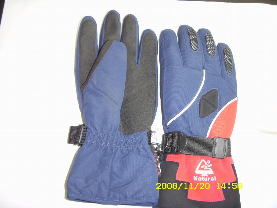 ski glove