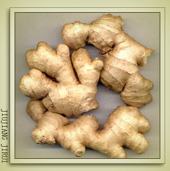 sell fresh ginger