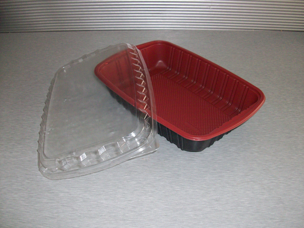 Fast food containers C-21