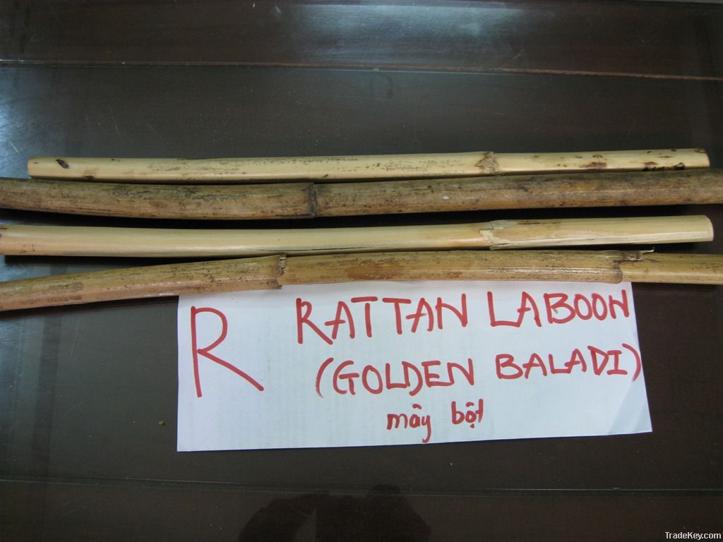 Rattan