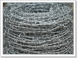 barbed wire