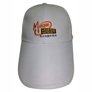 Election cap