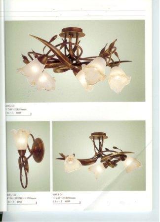 Light Fixture