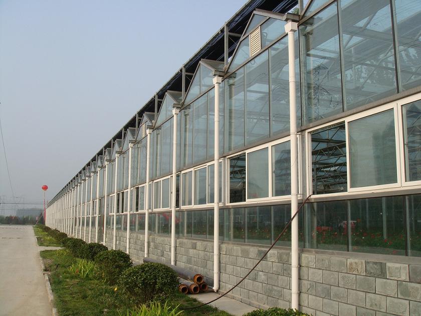Glass Greenhouse