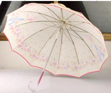 lady's fashionable umbrella