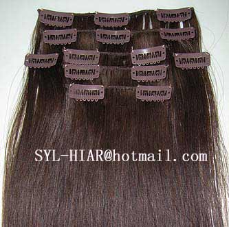 clips in on hair extension