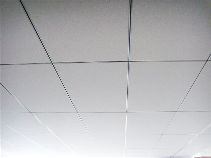 Fiberglass plaster acoustic ceiling