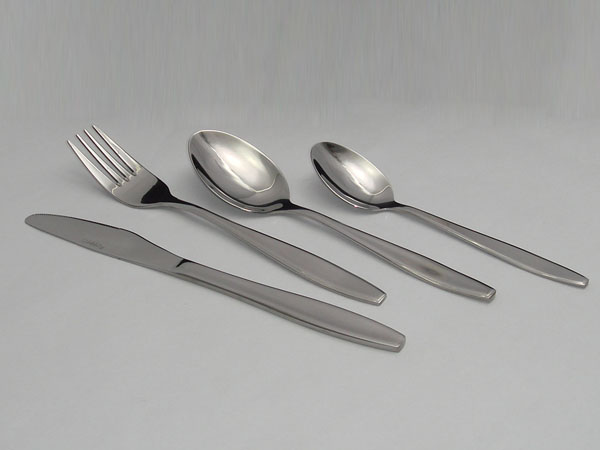 D005 cutlery(stainless steel tableware, dinner set, stainless steel cutl