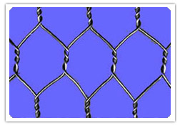 Hexagonal mesh