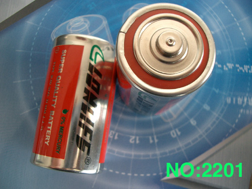 r20  D dry battery