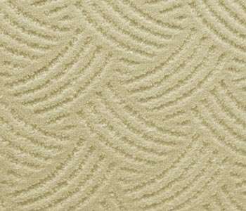 cut loop Carpet