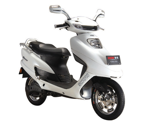 48V24AH 350W Electric Scooter (DM002)