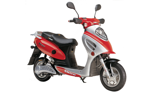 48V24AH 500W Electric Scooter VIP