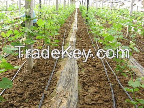 High Quality Drip Irrigation tape for Agriculture