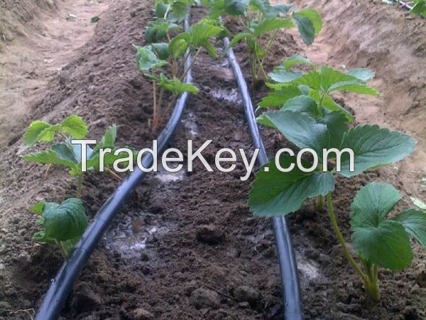 16mm Drip Irrigation pipe for farm and agriculture