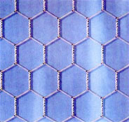 hexagonal wire mesh