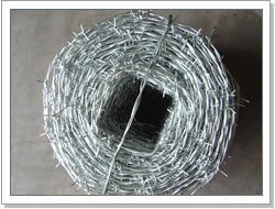 barbed iron wire