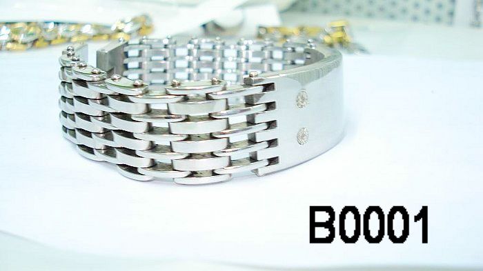 fashion jewelry fashion bracelet .charming jewelery