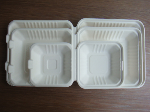 6/8/9" clamshell container