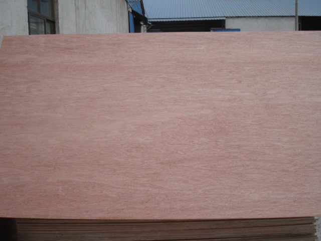 Pencil Cedar Plywood