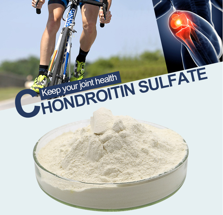 Chondroitin Sulfate Powder(Bovine, Poultry, Marine, Porcine)