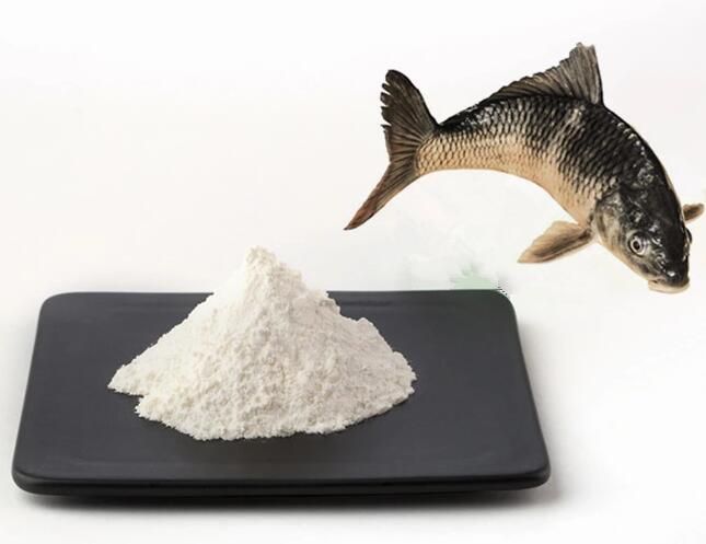 COLLAGEN POWDER(FISH, BOVINE, CHICKEN)