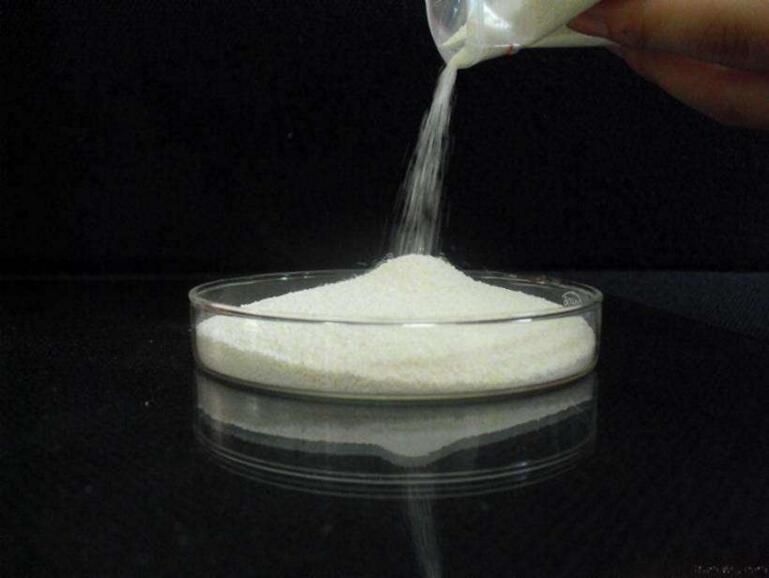 Chondroitin Sulfate Powder(Bovine, Poultry, Marine, Porcine)
