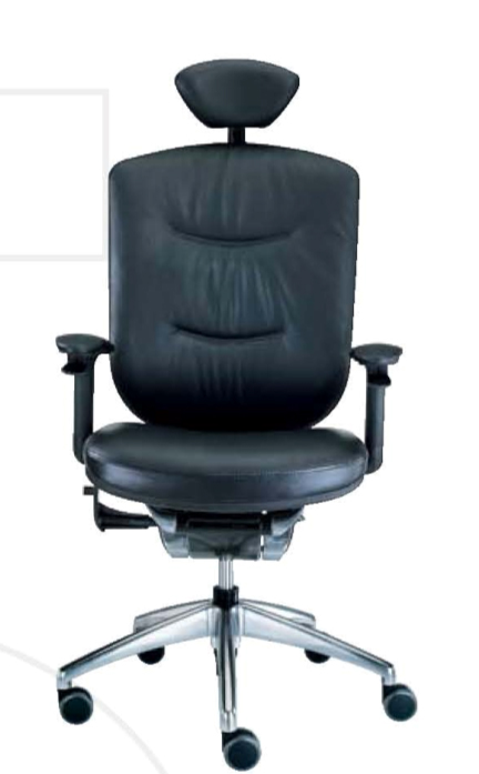 Executive leather chairs(patent products)
