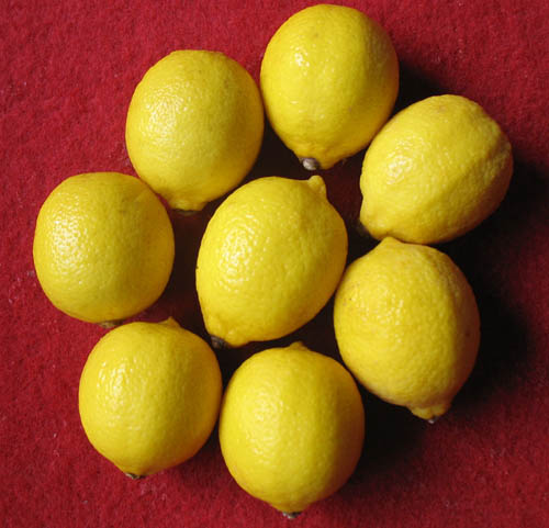 Fresh Lemon