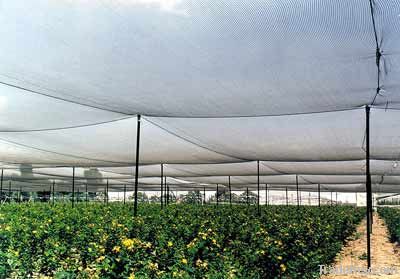 anti hail netting 100%virgin HDPE treated with UV