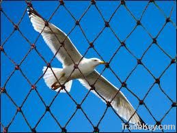 Building Bird Barrier Netting