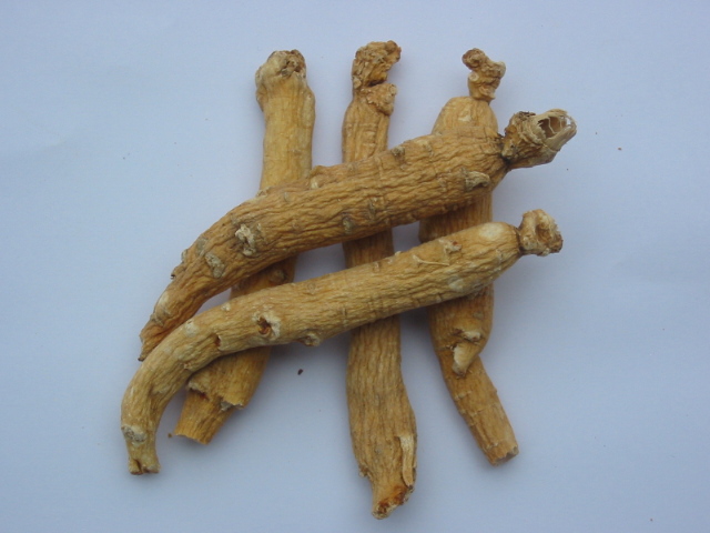 American/Panax Ginseng Powder