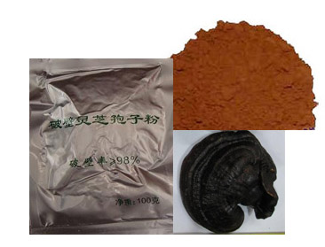 Reishi Spore Powder