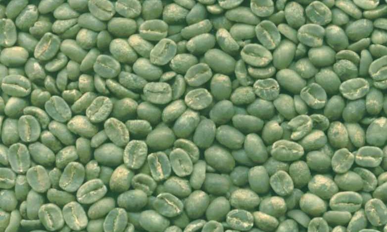 Export Green Coffee Beans | Green Coffee Bean Importer | Green Coffee Beans Buyer | Buy Green Coffee Beans | Green Coffee Bean Wholesaler | Green Coffee Bean Manufacturer | Best Green Coffee Bean Exporter | Low Price Green Coffee Beans | Best Quality Gree