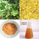 Ginkgo Biloba Leaf Extract