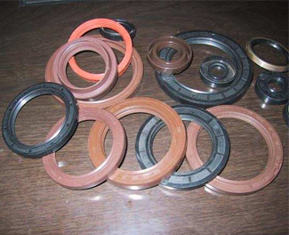 oil seal