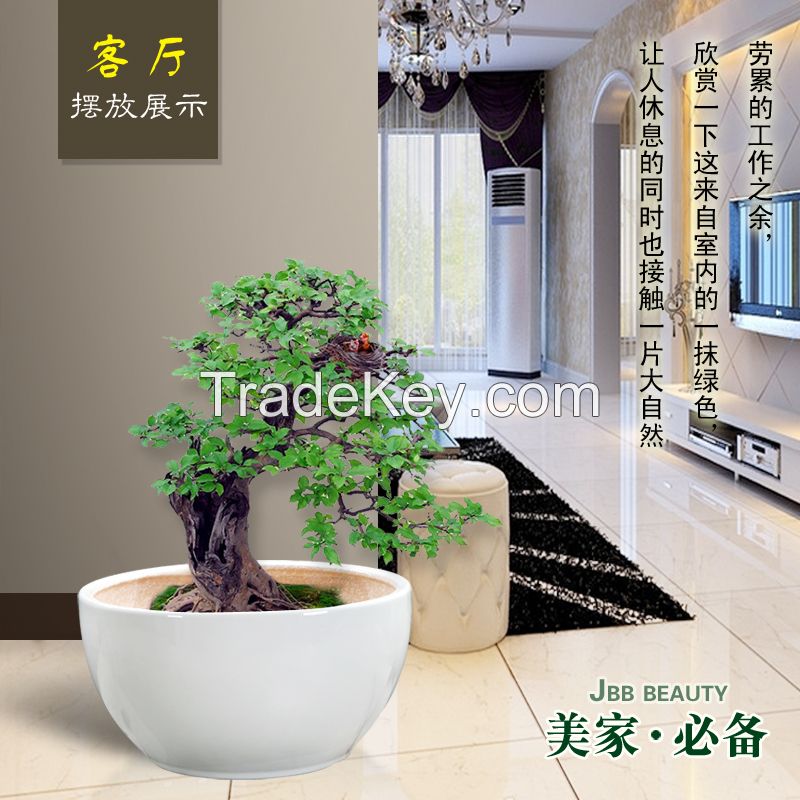 shine white flowerpots, ceramics flowerpot, Chaozhou flowerpot, Chinese flowerpot, gardenpots platers