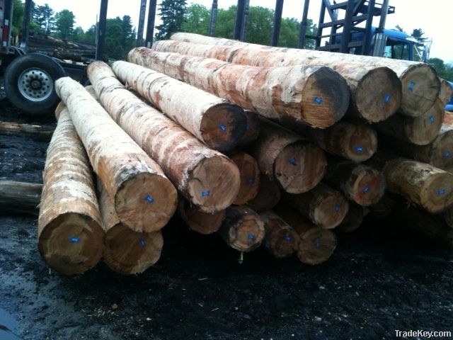 Logs