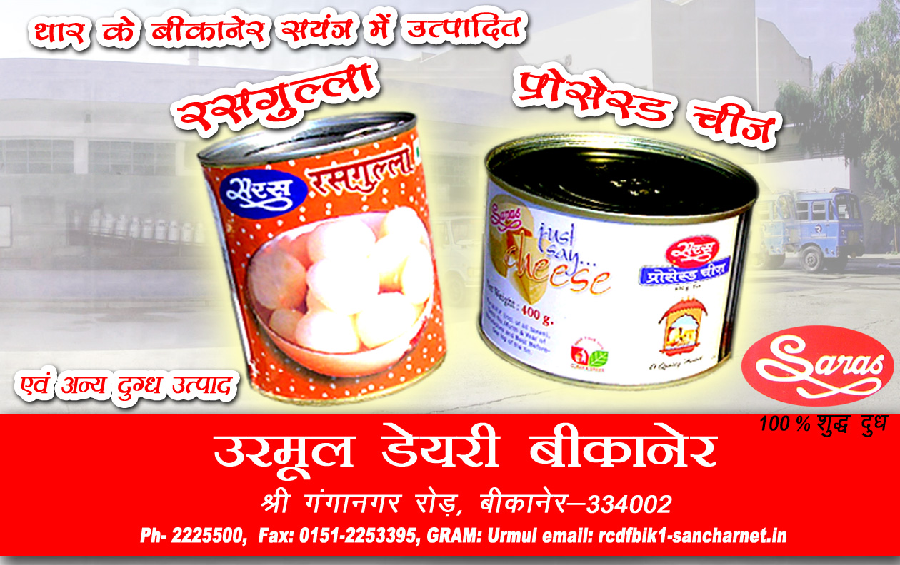Processed Cheese in 400 Gms Tin